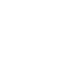 SEO Specialist